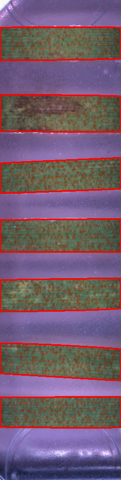 _images/brown_leaf.png