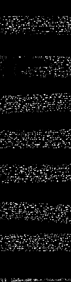_images/brown_pred.png